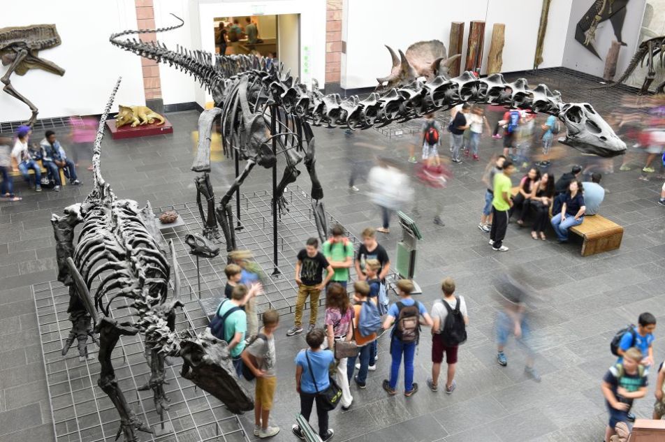 Dinosauriersaal mit mehreren Saurierskeletten und Kindergruppen